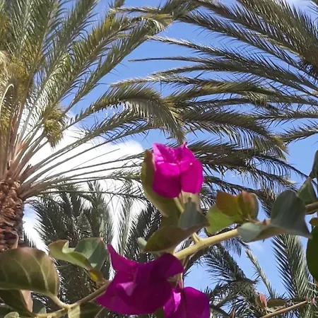 Framantis App No 6 * Κόστα Κάλμα