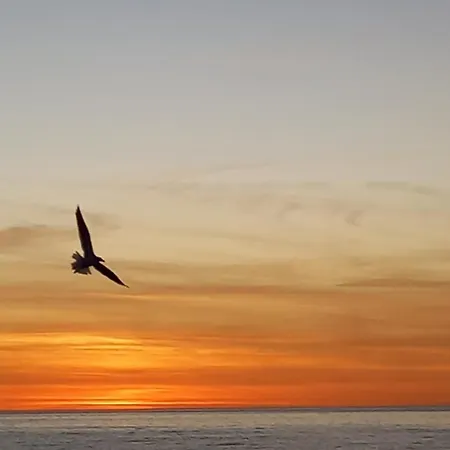 Framantis App No 6 * Κόστα Κάλμα